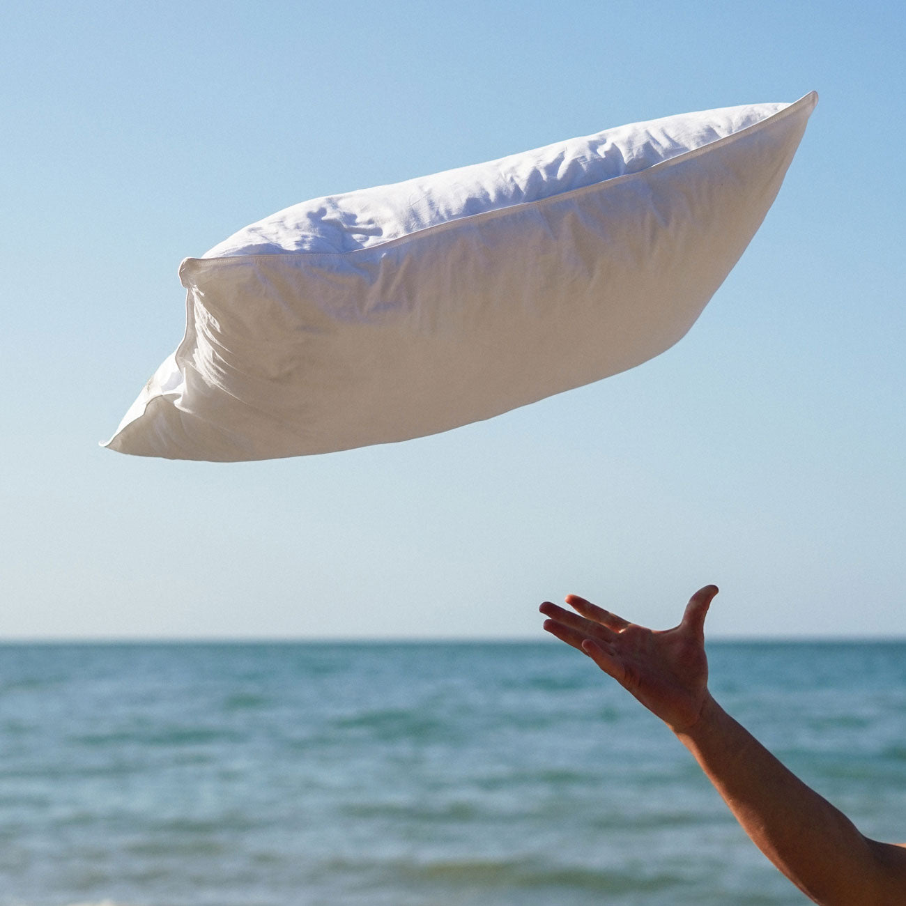 Eco Pillow