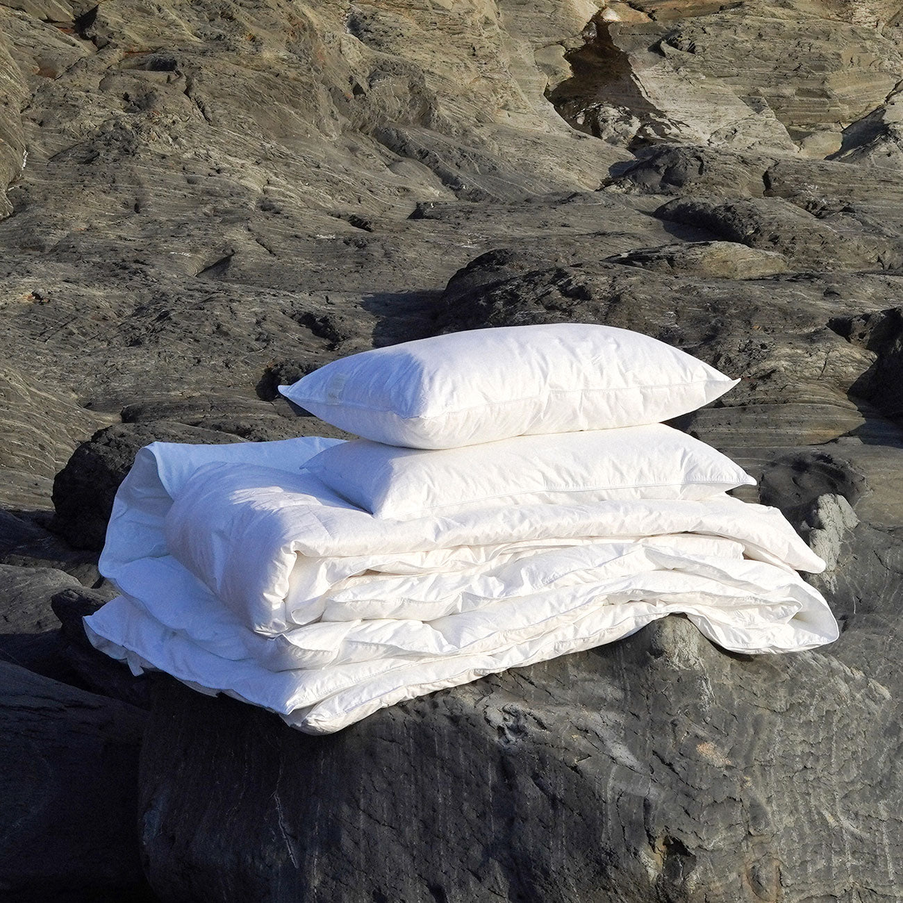 Eco Pillows and Duvets