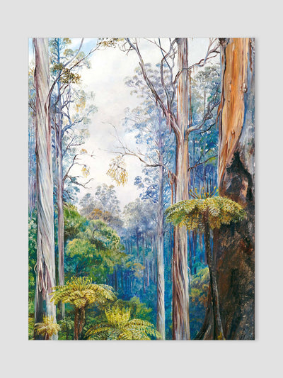 Remarkable Trees