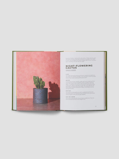 The Big Book of House Plants