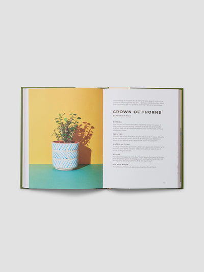 The Big Book of House Plants