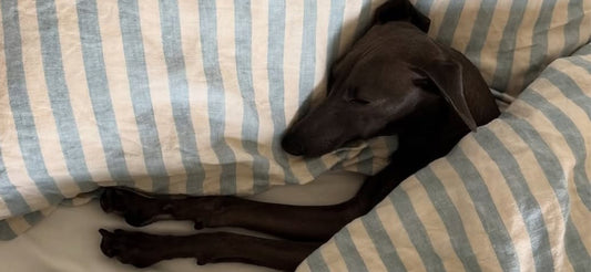 How to Prepare Your Guest Bedroom For Hosting Over Christmas