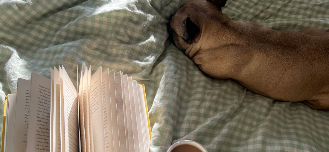 Review: Loved One by Aisha Muharrar