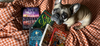 Piglet Picks: The Autumn Read List
