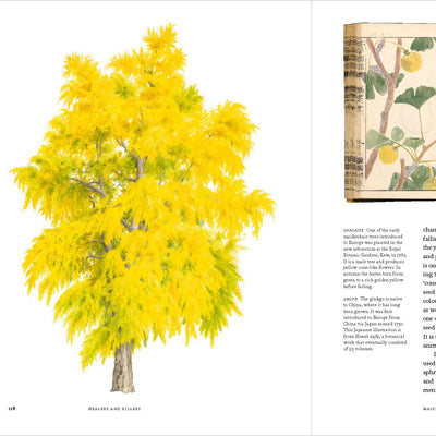 Remarkable Trees - alternate image