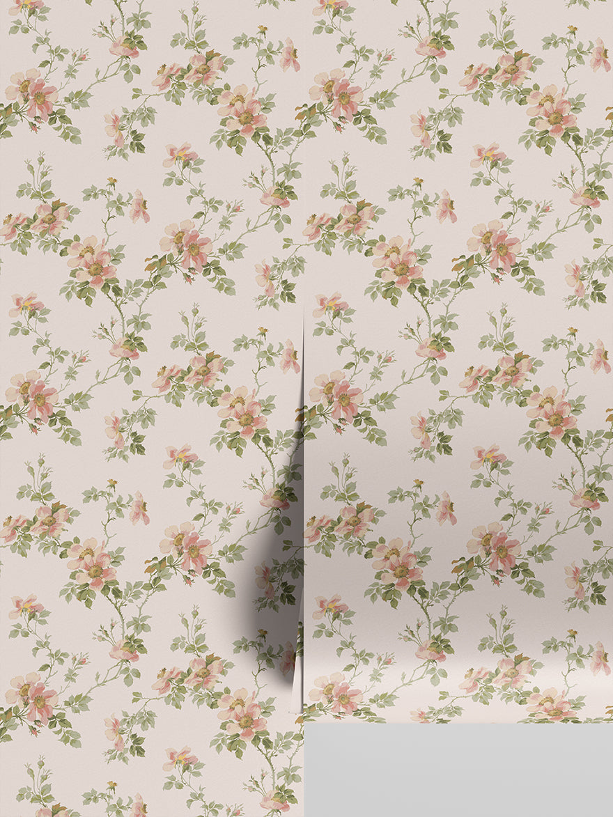 Cream Blush Field Rose Wallpaper