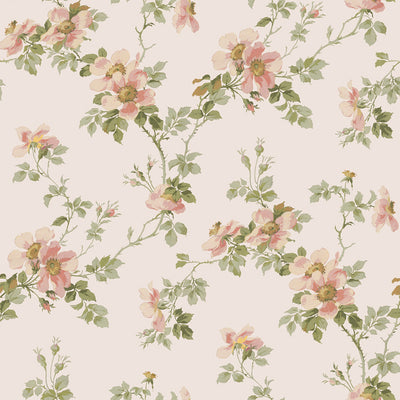 Cream Blush Field Rose Wallpaper - alternate image
