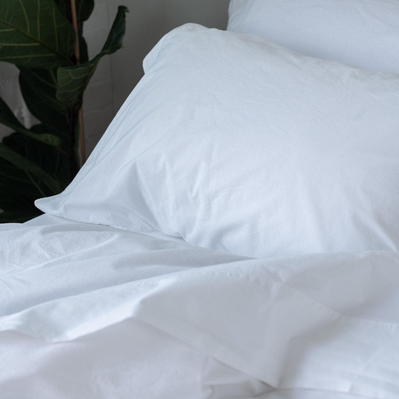 White Washed Cotton Percale Flat Sheet - Piglet in Bed