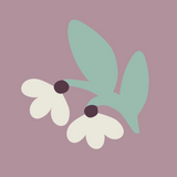Sage & Mindful Cream Daisy Cotton Pillowcases (Pair)