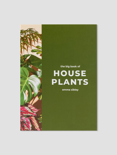 The Big Book of House Plants