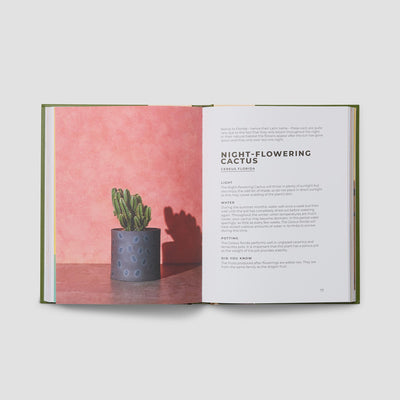 The Big Book of House Plants - alternate image