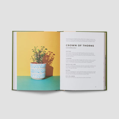 The Big Book of House Plants