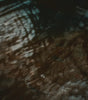 wallow water 